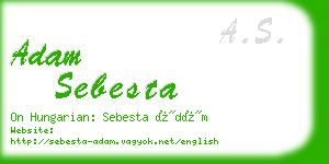 adam sebesta business card